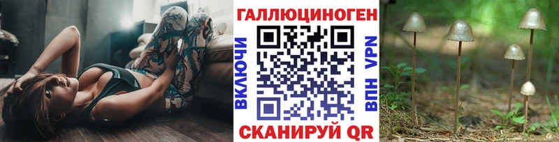 Псилоцибиновые грибы Cubensis  Острогожск 